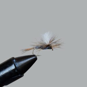 Adams (Parachute)