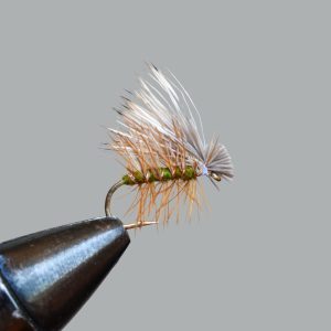 elk hair caddis (olive)
