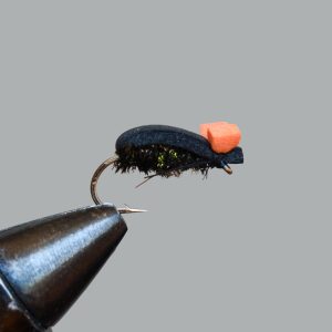foam beetle