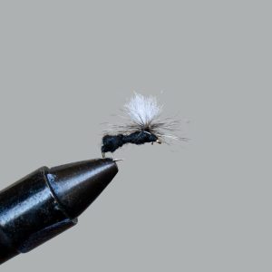 black ant (parachute)