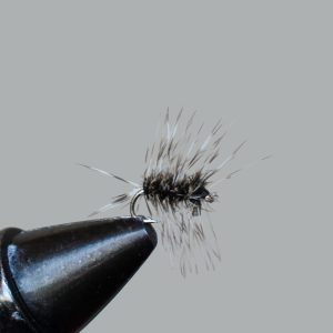 griffiths gnat
