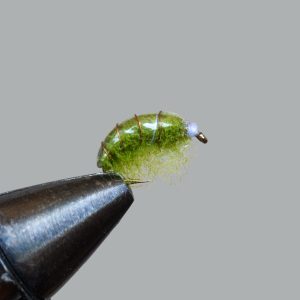 olive scud