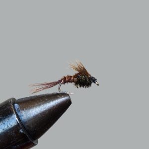 pheasant tail