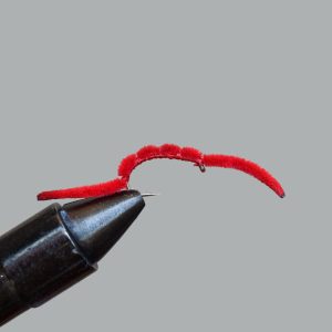 san juan worm