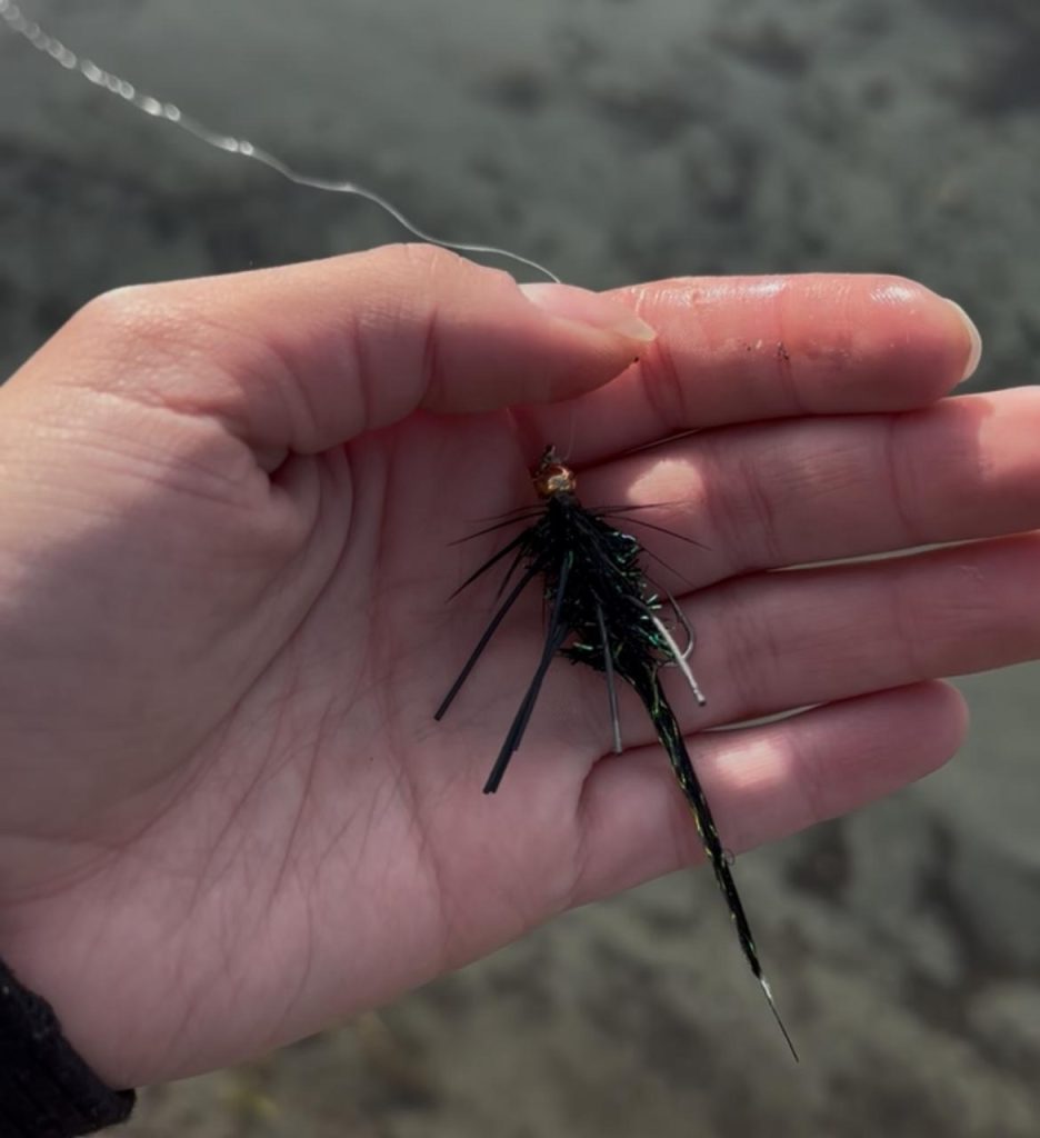 Así fue pescar con mosca en Cochrane: agua cristalina, perca chilena, trucha marrón y dos cañas menos Imagen De WhatsApp 2025 10 07 A Las 21.48.16 0f6cd2fb 936x1024