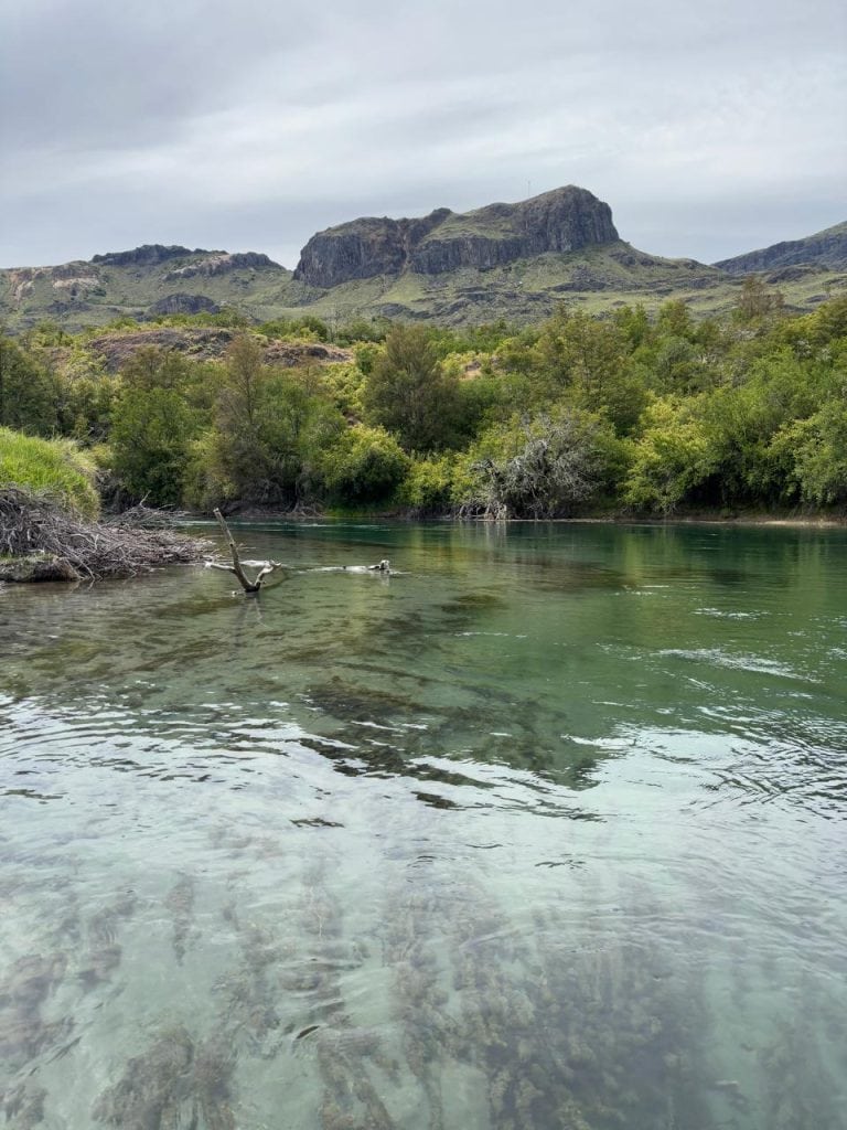 Así fue pescar con mosca en Cochrane: agua cristalina, perca chilena, trucha marrón y dos cañas menos Imagen De WhatsApp 2025 10 08 A Las 10.49.31 B0d7a881 1 768x1024