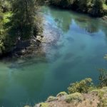 Así fue pescar con mosca en Cochrane: agua cristalina, perca chilena, trucha marrón y dos cañas menos Así fue pescar con mosca en Cochrane: agua cristalina, perca chilena, trucha marrón y dos cañas menos