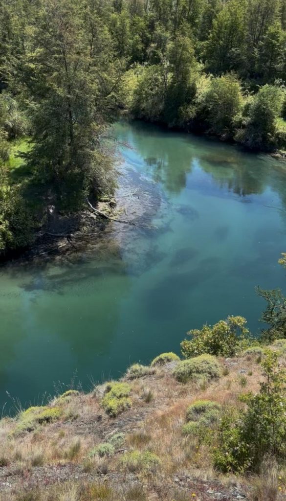 Así fue pescar con mosca en Cochrane: agua cristalina, perca chilena, trucha marrón y dos cañas menos Esta Imagen De WhatsApp 2025 10 07 A Las 21.22.55 99d995f0 585x1024
