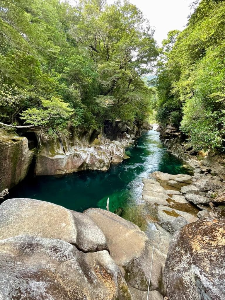 Qué es la pesca con mosca y por qué es distinta a la pesca tradicional Puente Piedra 768x1024