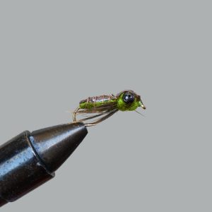 dragonfly nymph