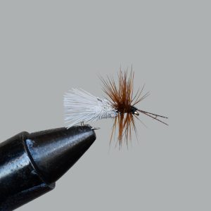 goddard caddis