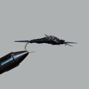 kaufmann's black stonefly