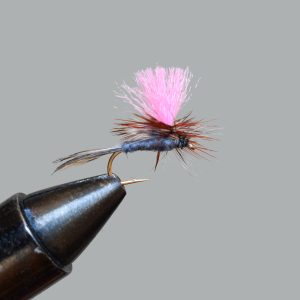 adams (parachute hivis)
