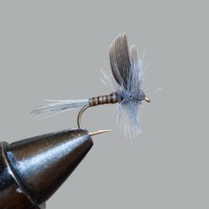 blue quill