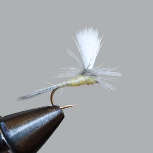pale morning dun (parachute)