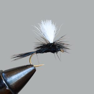 black gnat (parachute)