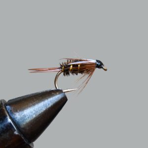 prince nymph